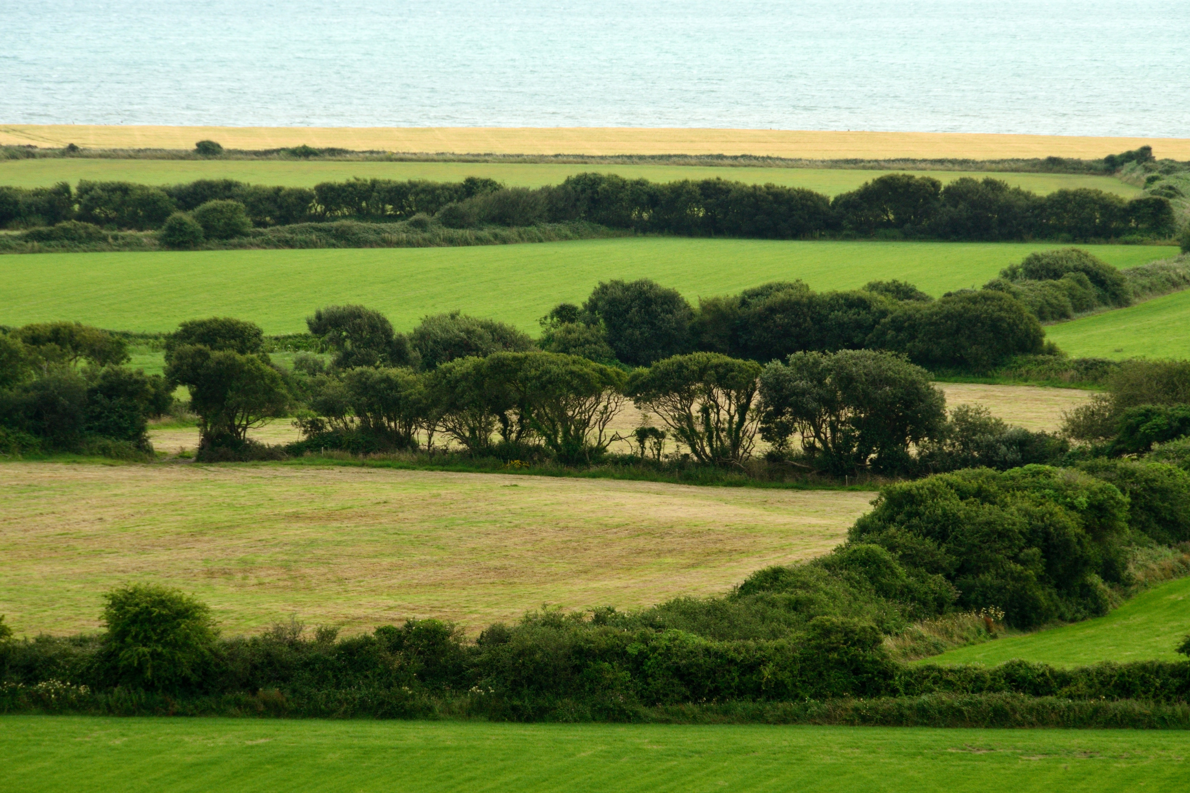 ballycotton (4).webp